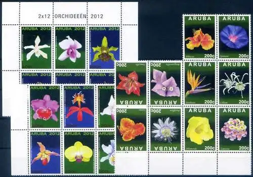 Aruba. Flora. Blumen 2012.