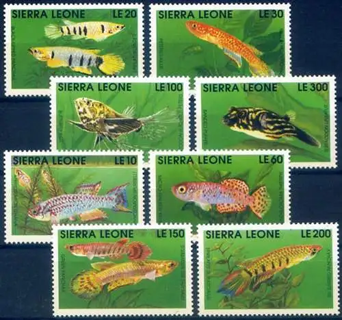 Fauna. Fische 1991.