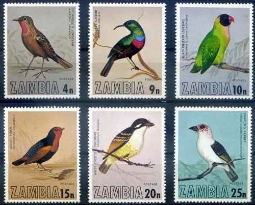 Fauna. Vögel 1977.