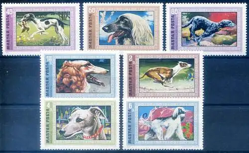 Fauna. Hunde 1972.
