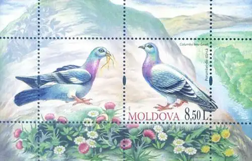 Fauna. Vögel 2010.