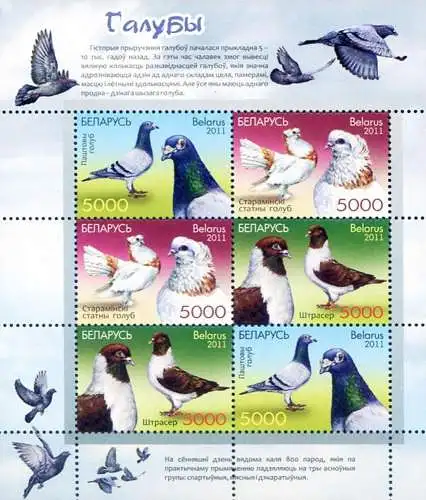 Fauna. Tauben und Tauben 2011.