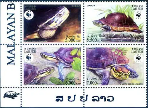Fauna. Schildkröten. WWF 2004.