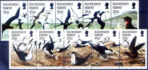 Fauna. Uccelli 1987-1988.