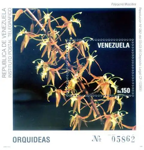 Flora. Orchidee 1993.