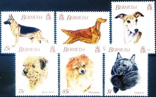 Fauna. Hunde 1992.