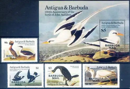 Fauna. Vögel 1985.