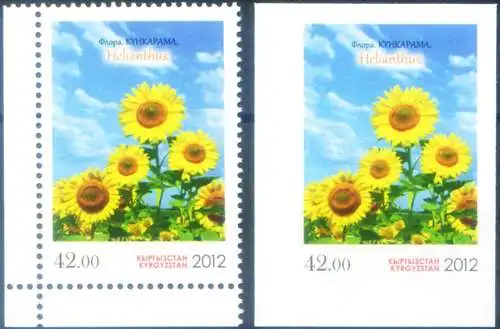 Flora. Sonnenblumen 2012.