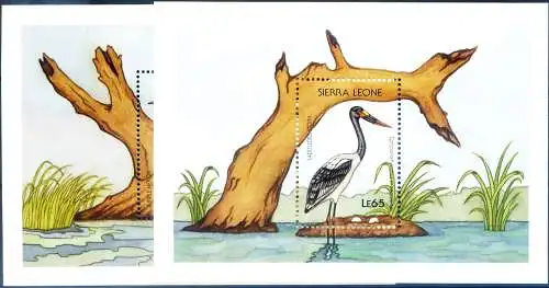 Fauna. Vögel 1988.