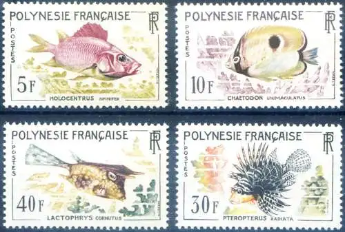 Fauna. Fische 1962.