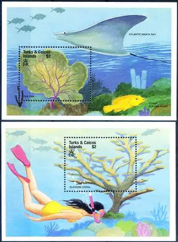 Unterwasserflora 1999.