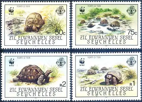 Insel abgelegen. Fauna. Schildkröten 1987.