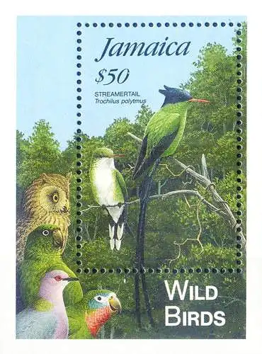 Fauna. Vögel 1995.