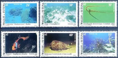 Meeresflora und -fauna 1981.