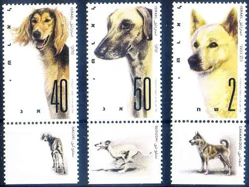 Fauna. Hunde 1987.