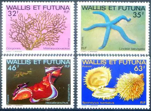 Meeresflora und -fauna 1982.