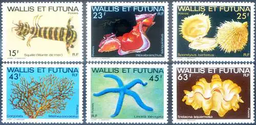 Meeresflora und -fauna 1979.