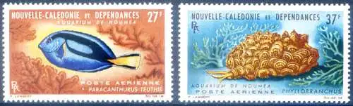 Fauna. Fische aus dem Aquarium von Noumea 1965.
