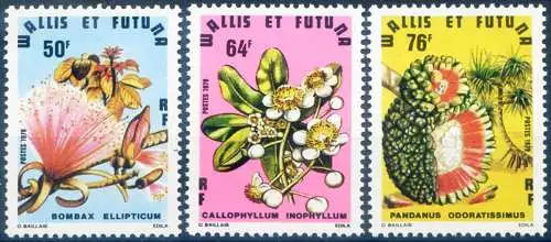 Flora 1979.