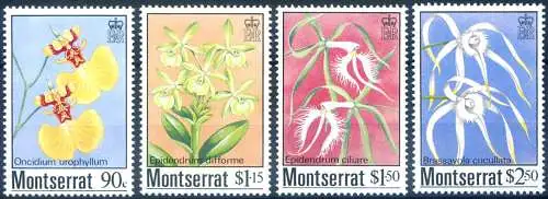Flora. Orchidee 1985.
