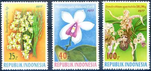 Flora. Orchidee 1977.