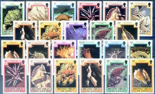 Definitiv. Meeresflora und -fauna 1979-1982.