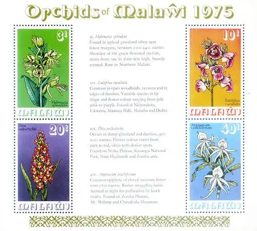 Orchidee 1975.