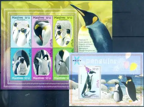 Fauna. Pinguine 2007.
