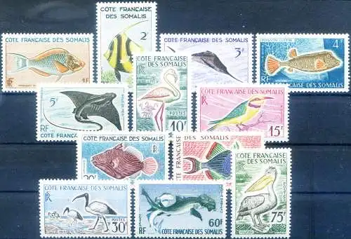 Küste von Somali. Definitiv. Fauna 1959-1960.
