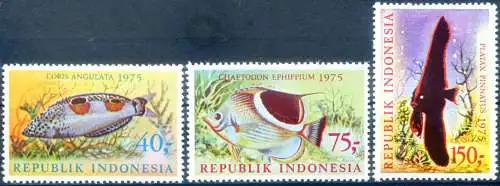 Fauna. Fische 1975.