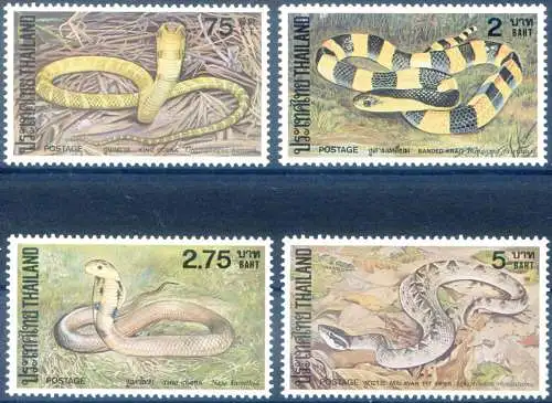 Fauna. Schlangen 1981.