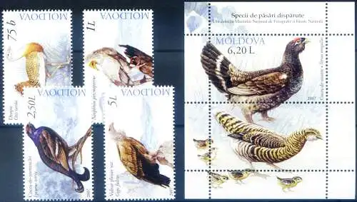 Fauna. Vögel 2007.