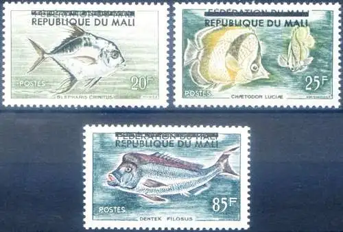 Fauna. Fische. 1961 überdruckt.