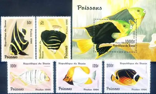 Fauna. 1996 Fische.