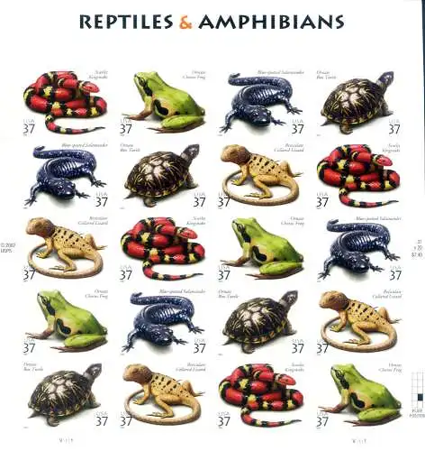 Fauna. Reptilien und Amphibien 2003.