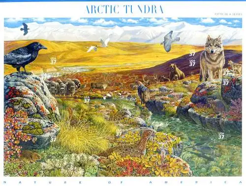 Arktische Tundra 2003.
