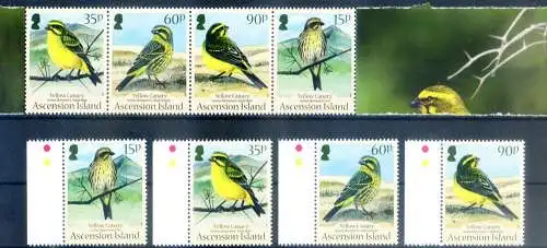 Fauna. Gelber Kanarienvogel 2010. Aus Blatt und Miniblatt.