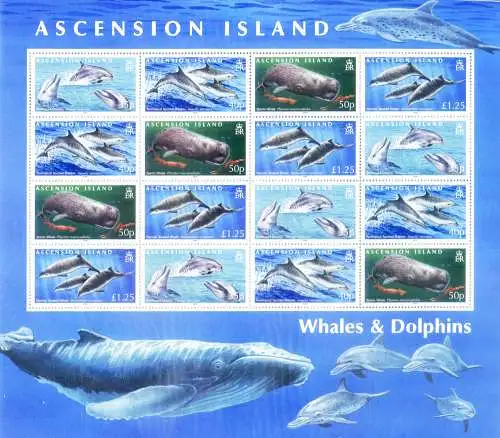 Fauna. Wale 2009.
