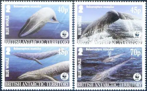 Fauna. WWF. Blauwal 2003.