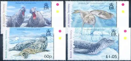 Fauna. Robbe und Seeelefant 2006.