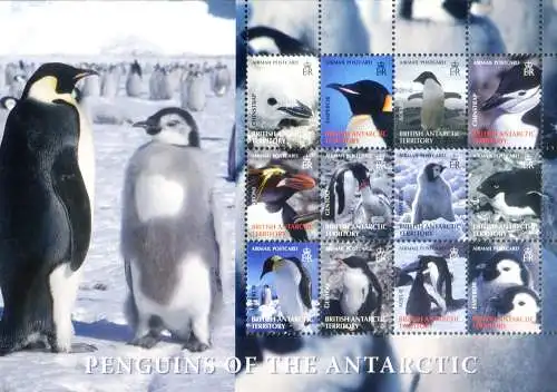 Fauna. Pinguine 2006.