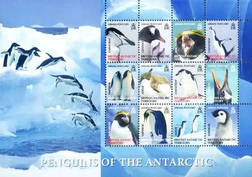 Fauna. Pinguine 2008.