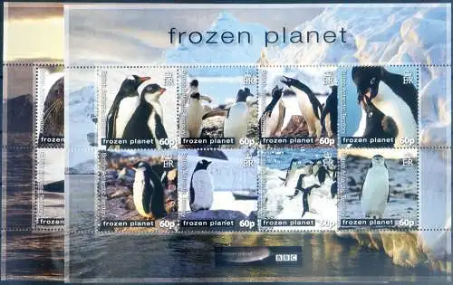 Fauna. Pinguine 2011.