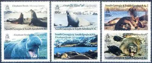 Südgeorgien. Fauna. Seeelefant 1991.