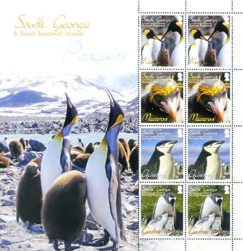 Südgeorgien. Fauna. Pinguine 2010.