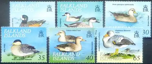 Fauna. Vögel 1999.