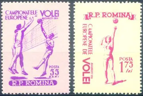 Sport. Volleyball 1955.