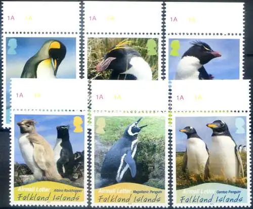 Fauna. Pinguine 2010.