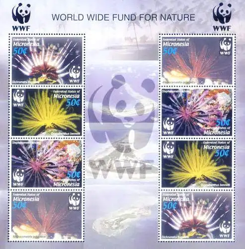 Meeresflora. WWF 2005.