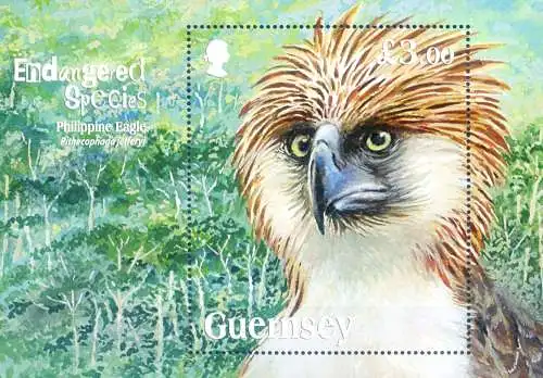 Gefährdete Tierwelt 2016. Philippinischer Adler.